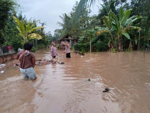 Air Kiriman Dari Tanggamus Banjirin Pringsewu