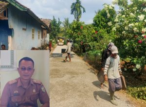 Pekon Sidodadi Melaksanakan Kegiatan Pembangunan Dana Desa