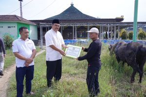 Pemkab Pringsewu Serahkan Hewan Qurban