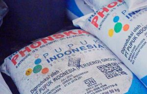 Petani Menjerit Harga Pupuk Subsidi di Kelompok Tani Melambung Tinggi