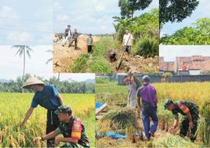 TNI Ambil Peran Strategis Program Kedaulatan Pangan Nasional