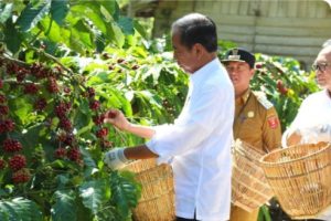 Presiden Republik Indonesia Jokowidodo Di “Lampung Barat Merupakan Salah Satu Daerah Penghasil Kopi Terbesar Di Indonesia.