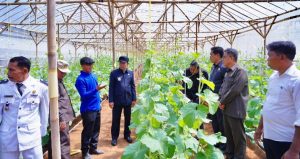 Pj Bupati Pringsewu Tinjau Budidaya Pertanian Hydroponic di Pekon Margosari