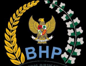 Kepala Dinas PMD Kabupaten Pringsewu, Iskandar Muda, Memberikan Penjelasan Terkait Rendahnya Insentif BHP