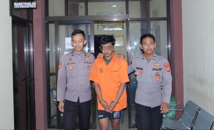 Pria Asal Pekon Bumiratu Di Tangkap Polisi Diduga Lakukan Persetubuhan terhadap Anak 14 Tahun
