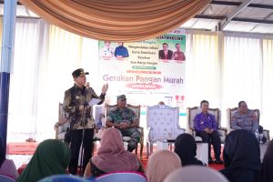 Pemkab Pringsewu Adakan Gerakan Pangan Murah
