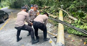 Sigap: Polsek Bengkunat Gerak Cepat Evakuasi Pohon Tumbang