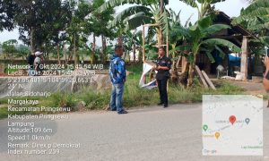 Pengerusakan APK Milik Calon Bupati dan Wakil, Adi Erlansyah dan Hisbullah Dibeberapa Titik Akan Dilaporkan Oleh Liaison Officer Ke APH