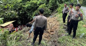 Gerak Cepat Polsek Bangkunat Evaluasi Kendaraan Laka Tunggal.