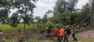 Pemangkasan Pohon-Pohon Yang Tumbuh Di Sepanjang Jalan Menuju Bandara Udara (Bandara) Gatot Soebroto