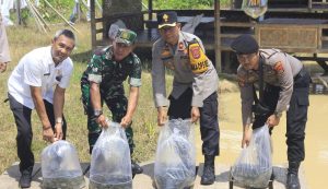 Polres Pesisir Barat Ikut Andil Dalam Ketahanan Pangan: Tebar Benih Ikan Dan Tanam Jagung Di Lahan Tidur