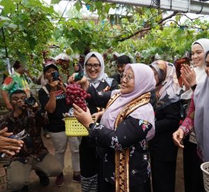 Pj Ketua TP-PKK Provinsi Lampung Dukung Pengembangan Anggur Pringsewu