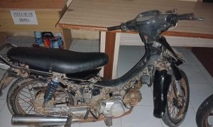 Unit Reskrim Polsek Bengkunat Berhasil Amankan Pelaku Pencurian Motor