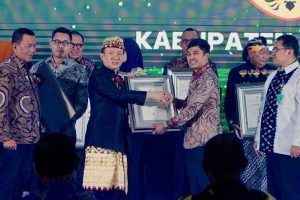 Pj Bupati Pringsewu Terima Penghargaan STBM Award 2024