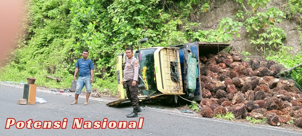 Respon Cepat Polsek Pesisir Utara Cek TKP Kecelakaan Tunggal Truk Bermuatan Sawi Terbalik