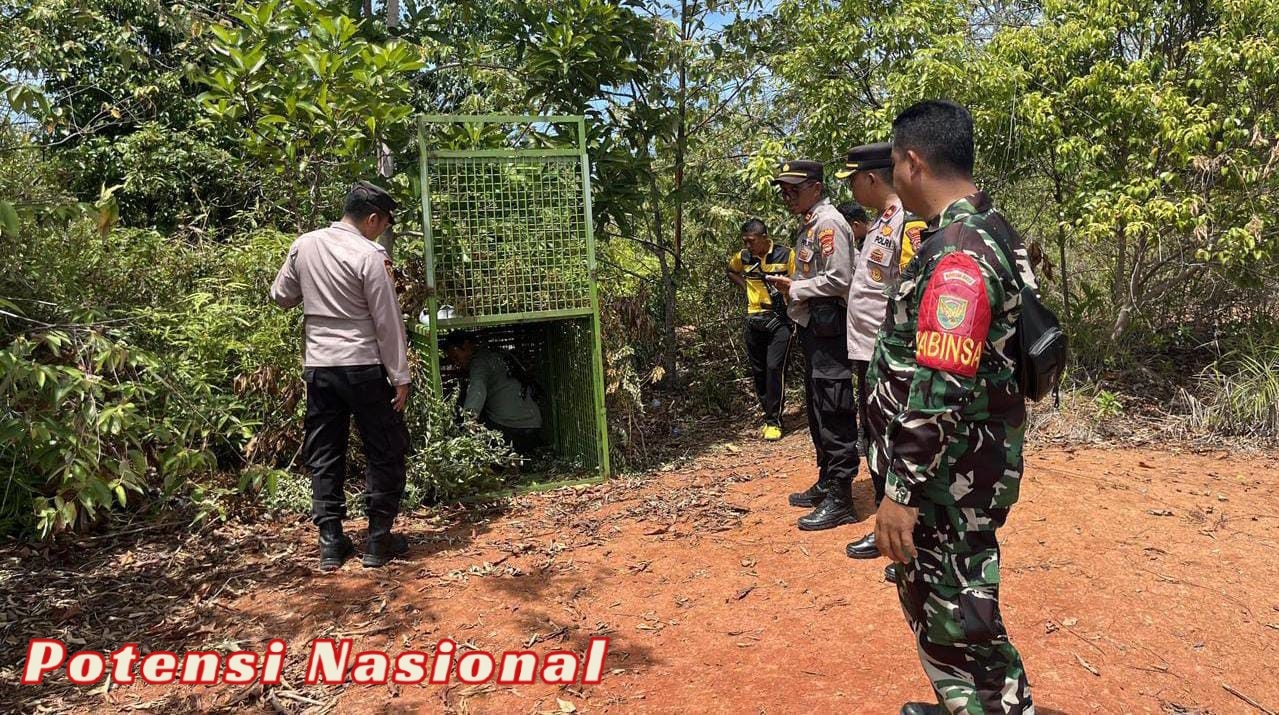 Kompol Slamet Raharjo,S.H.,M.H. Waka Polres Pesisir Barat Tinjau Langsung Perkembangan Di Posko Hewan Buas