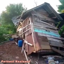 Kawanan Gajah Rusak 7 Rumah Warga Blok 4 Reg 39, di Kabupaten Tanggamus Sekira Pukul 00:15 Dini hari