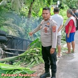 Polsek Pesisir Utara Tinjau Lokasi Terkait Laka Lantas Yang Terjadi Di Pekon Kota karang. Ini Penjelasannya!!