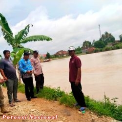 Puluhan Hektar Sawah di Pringsewu Terendam Banjir