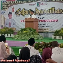 Tiga Jalan Kabupaten Pringsewu Diusulkan Jadi Jalan Provinsi