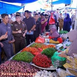 Bupati Pringsewu Pantau Ketersediaan Bahan Pokok Di Pasar Kecamatan Banyumas