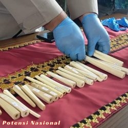 Polda Lampung Imbau Warga Hindari Jual Beli Bagian Satwa Dilindungi, Ini Hukumannya