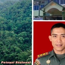 Respon Balai Besar TNBBS di Tanggamus Prihal Bantahan Pemda Yang Tidak Mengakui Terkait Penarikan Pajak PBB Di Areal Kawasan Hutan TNBBS Jadi Sorotan