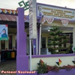 TKS ‘Siluman’ Muncul di UPTD Puskesmas Tanggamus, Diduga Kangkangi UU ASN