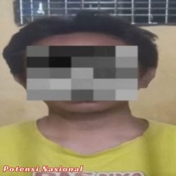 Reskrim Polsek Bengkunat Berhasil Ungkap Kasus Penipuan Melalui Agen BRILink