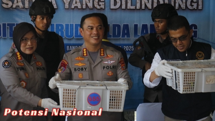 Ratusan Burung Ilegal Gagal Diselundupkan, Truk Diamankan di Pelabuhan Bakauheni