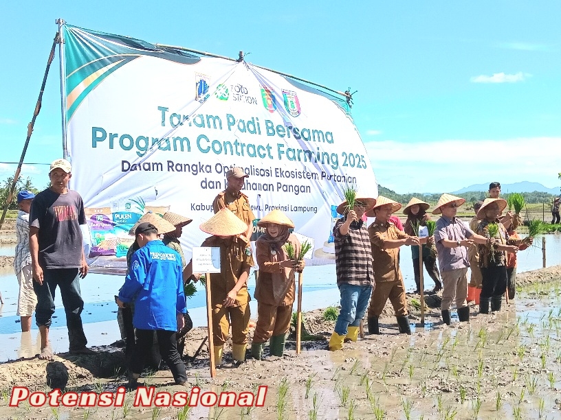 Pemda Pringsewu Lampung & Daerah Khusus Jakarta Jalin Kerjasama Contract Farming