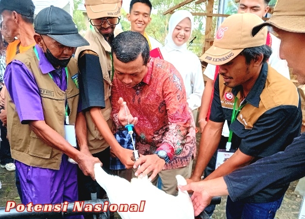 Pertama, Festival Qurban Digelar Di Pringsewu Lampung