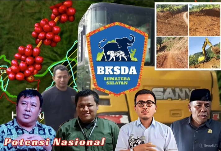 BKSDA Sumsel Susun Laporan ke Kementerian Terkait Alat Berat Milik Wakil Ketua DPRD