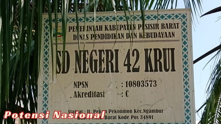 Rehabilitasi Perpustakaan SDN 42 Krui Diduga Asal Jadi, Proyek Senilai Rp106 Juta Jadi Sorotan