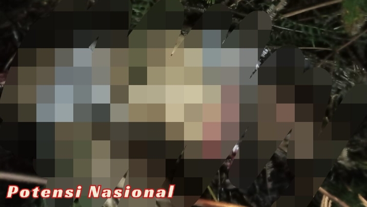 Warga Pemalang Tewas Tragis Diduga Dimangsa Harimau di Perbatasan TNBBS
