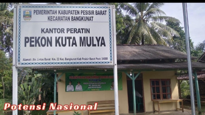 Dua Tahun Pasca Pemekaran, Sejumlah Pekon di Pesisir Barat Belum Difinitif, Warga Pertanyakan Kepastian