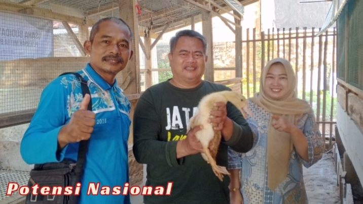 Peternakan Unggas JATAM Pringsewu Jadi Percontohan, MPM Muhammadiyah Lampung Lakukan Kunjungan dan Evaluasi