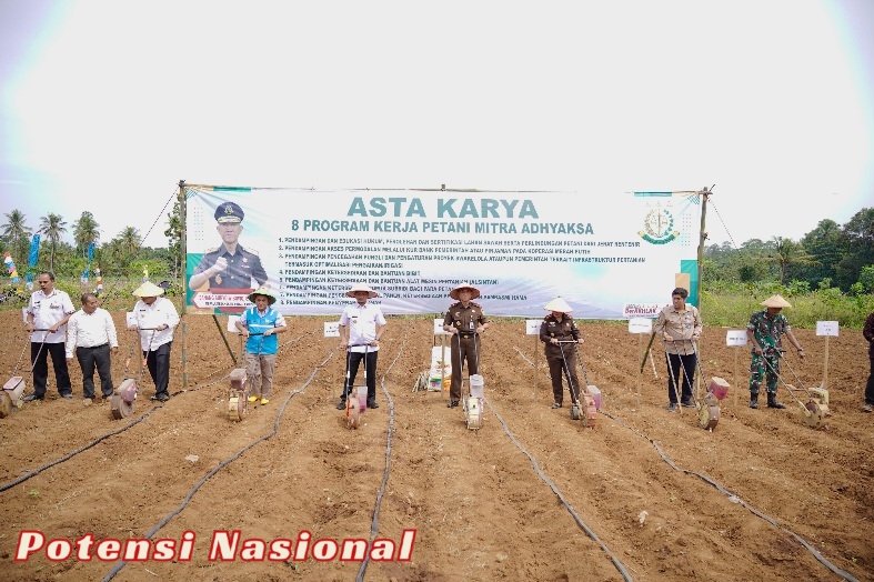Produksi Jagung di Pringsewu Lampung Ditarget 48 Ribu Ton