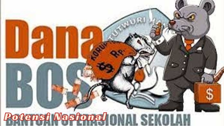 LSM LIPAN Soroti Dugaan Penggunaan Fiktif Dana BOS di SDN Wilayah Pesisir Barat