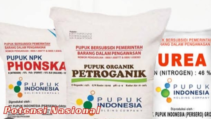 Petani Way Lima Teriak! Harga Pupuk Subsidi Tembus Rp150 Ribu per Sak, Jauh di Atas HET