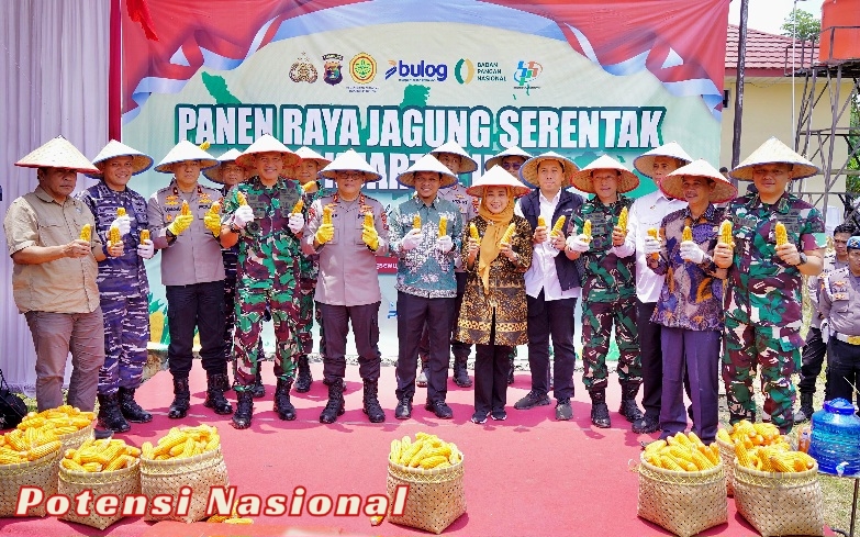 Bupati Pringsewu Hadiri Panen Raya Jagung Serentak