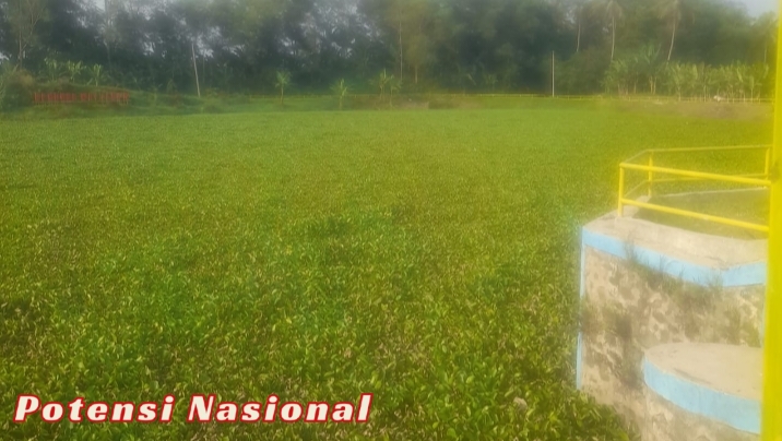 Bendung Way Tebu 4 di Rantau Tijang Butuh Perhatian, Warga Keluhkan Kekurangan Air Irigasi
