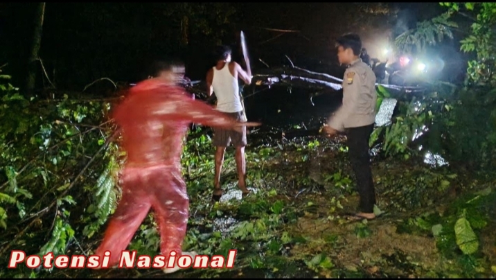 Polsek Pesisir Utara Gerak Cepat Evakuasi Pohon Tumbang di Jalan Utama
