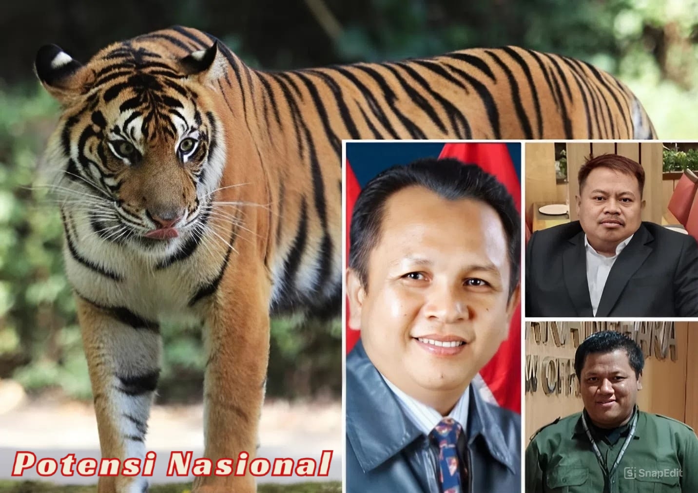 JKEL Desak Audit Investigatif atas Kematian Harimau Sumatera “Bakas”, CSM dan GERMASI Dukung Pencabutan Izin Lembah Hijau