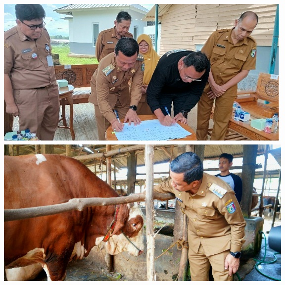 Pemkab Pringsewu & AM Farm Sepakati Kerjasama Pemeriksaan Kesehatan Hewan