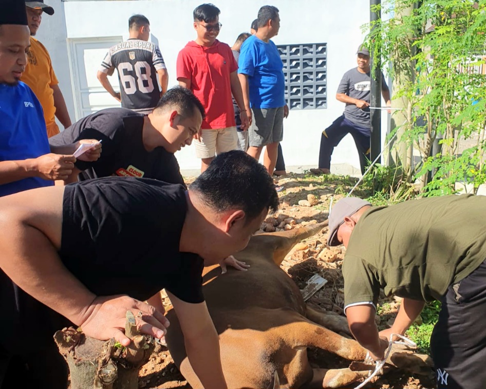 Mushola An-Nashr Podorejo Pringsewu Lampung Potong Hewan Qurban