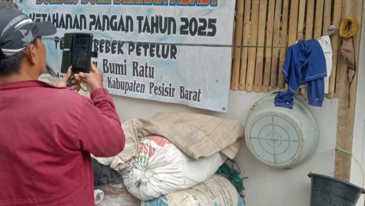 Ketua BUMDes Pekon Bumi Ratu Diduga Rangkap Jabatan, Program Pengadaan Bebek Petelur dan Penanaman Cabai Jadi Sorotan