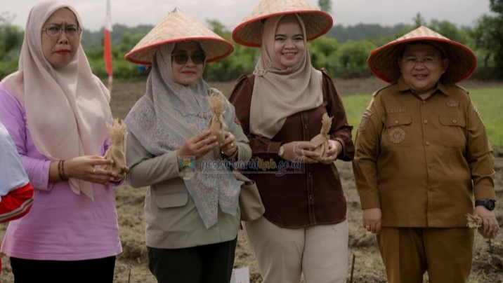 Wakil Bupati Pesibar Tanam Jagung Di SLB Negeri Dorong Kemandirian Siswa & Ketahanan Pangan