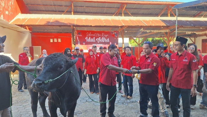 Semangat Gotong Royong Warnai Kegiatan Kurban PDIP Pringsewu pada Idul Adha 1447 Hijriah