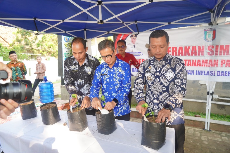 Bupati Pringsewu Canangkan Gerakan Tanam Cabai